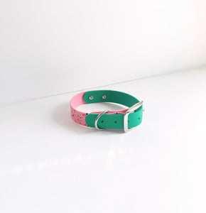 Two Tone Biothane Collars