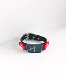 1" + 3/4" Overlay - Fi Series 3 & Series 3+