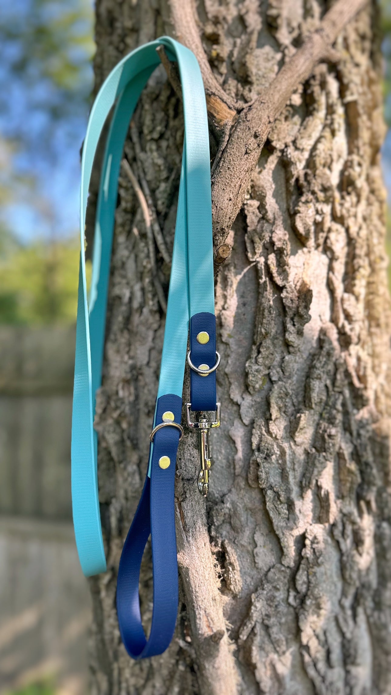 Two Tone Biothane Leashes