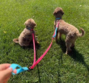 Infinity Leash