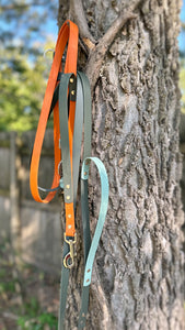 Hands-Free 3 Way Leashes