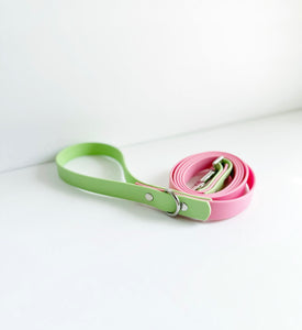 Two Tone Biothane Leashes