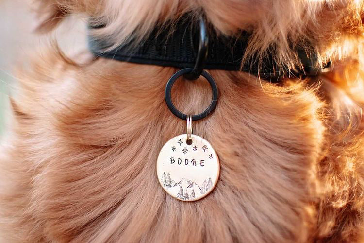 Always Exploring Tag Pet ID Tag, Dog ID Tag, Hand stamped Dog Tag