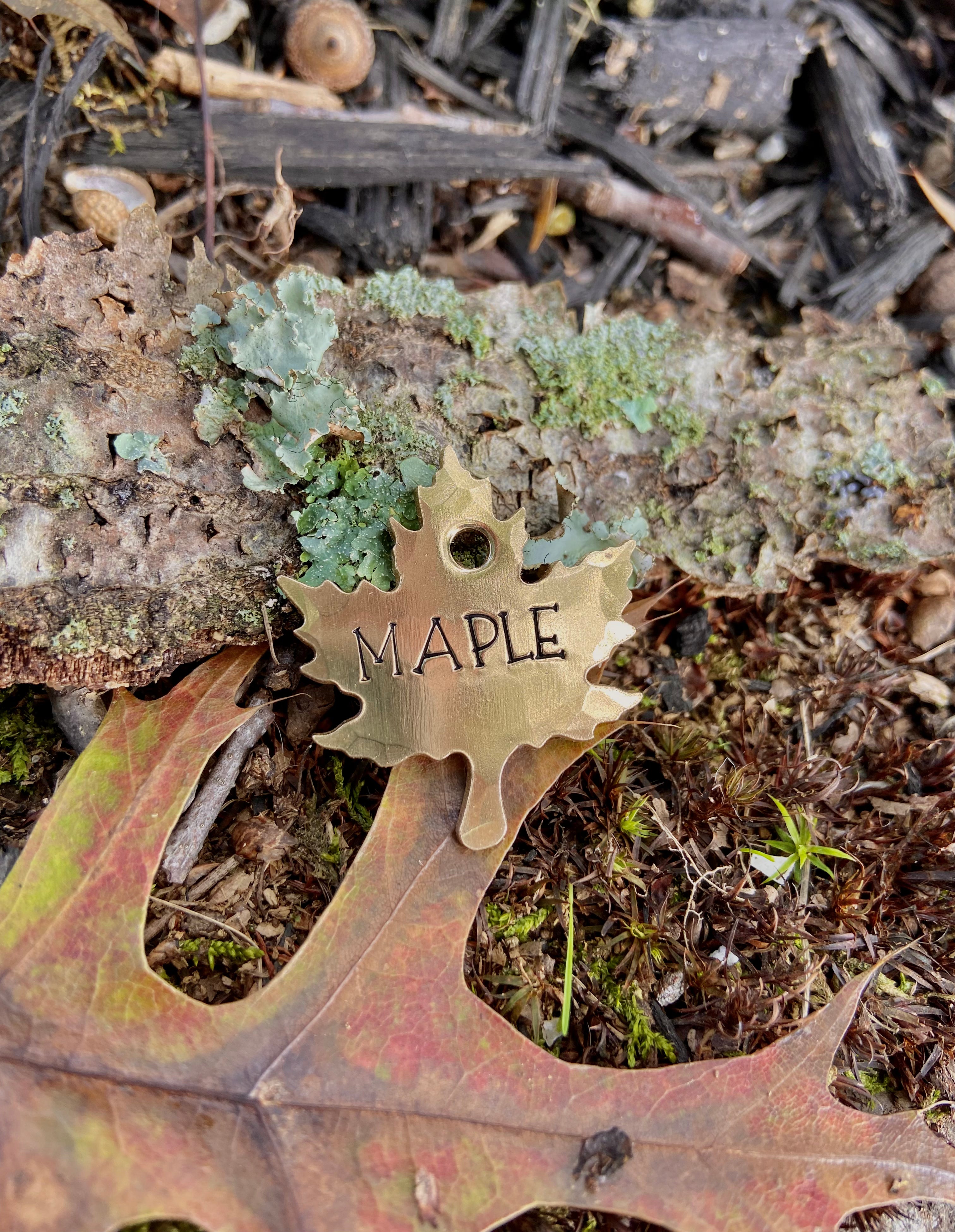 Maple Leaf Tag, Pet ID Tag, Dog ID Tag, Hand stamped Dog Tag